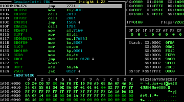 Screenshot #1: Main window debugging 'insight.com' (version 1.22).